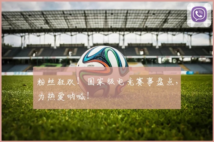 粉丝狂欢!国家级电竞赛事盘点,为热爱呐喊!